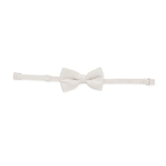 Bow Tie in Oat