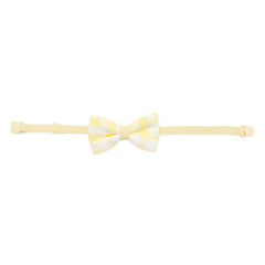 Bow Tie in Gingham Chamomile